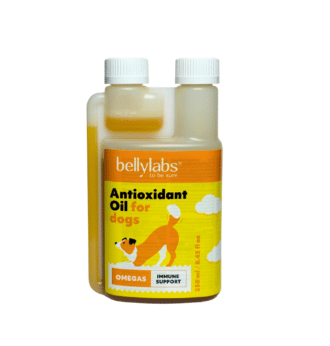 Bellylabs Antioksidanttiöljy koirille 250 ml