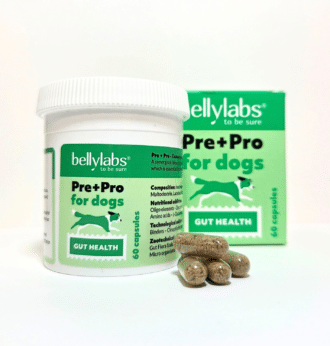 Bellylabs Pre+Pro kapselit koirille 60 kpl